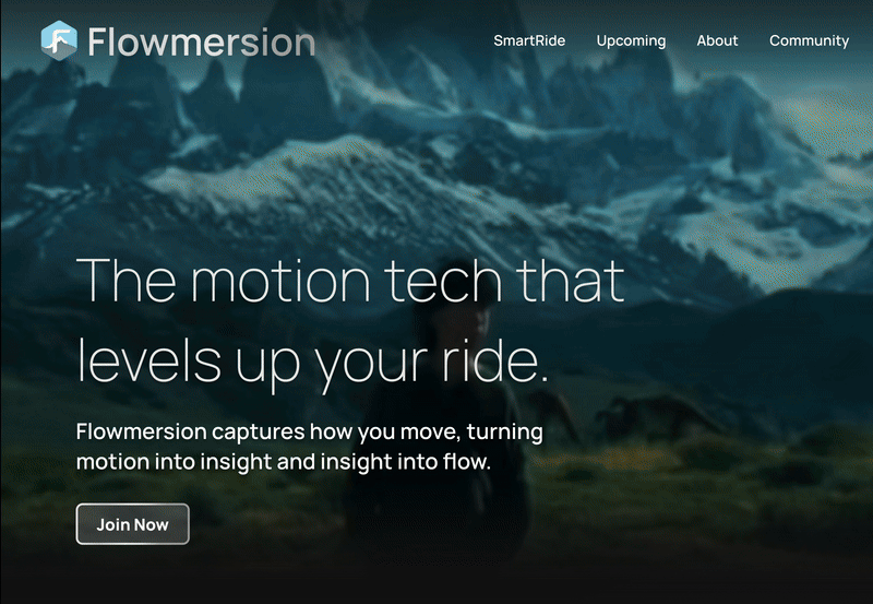 Flowmersion website preview